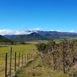 Mission ATEX à la Réunion